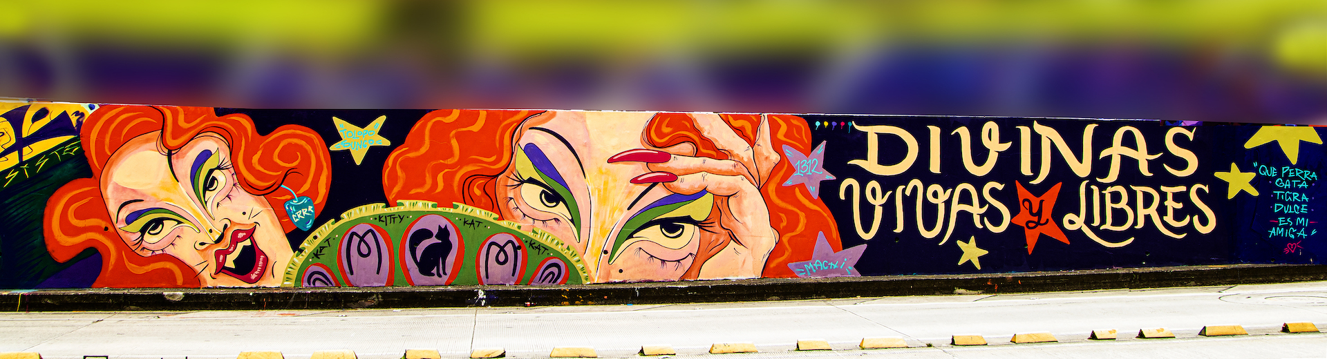 Mural por Niña tigre